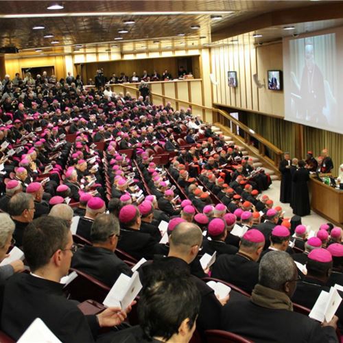 Today begins in Rome, and until 28 October, the synod of bishops on "young people, faith and discernment". but deep down, what is a synod for?